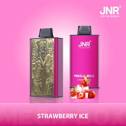 JNR Mega Box 25000 Puffs Disposable Vape 