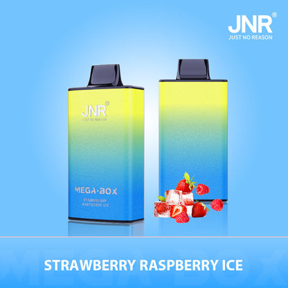 JNR Mega Box 25000 Puffs Disposable Vape - Flavour